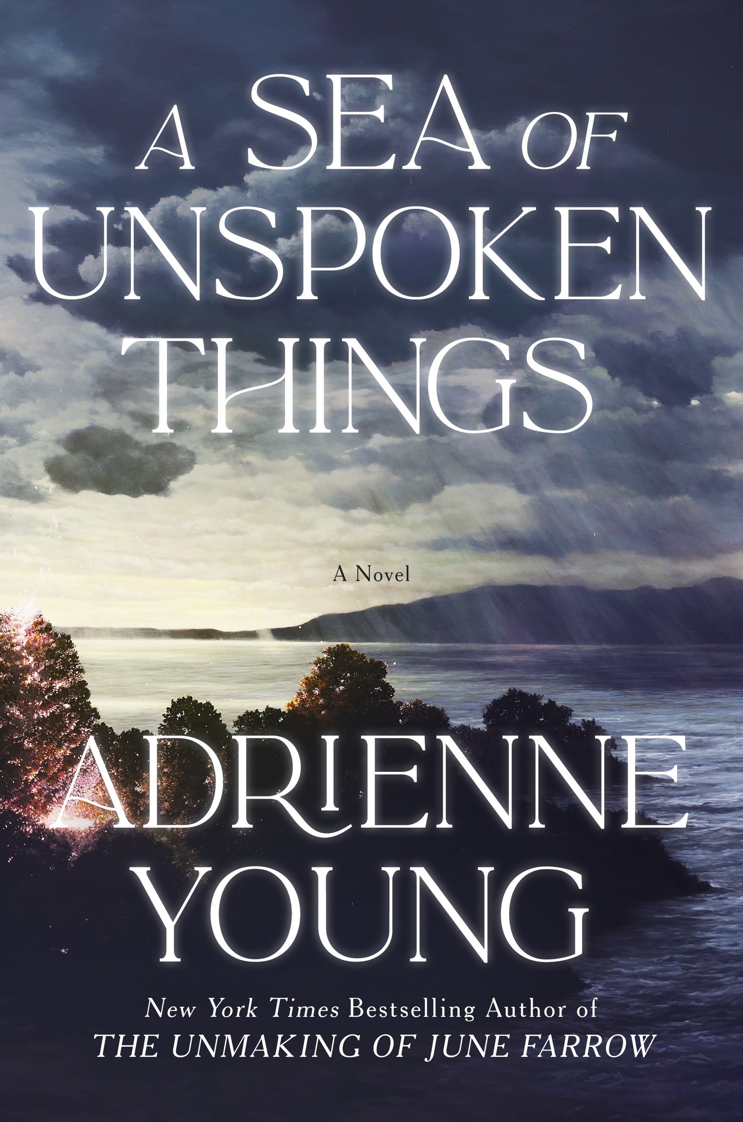 A Sea of Unspoken Things: A Novel Book by ADRIENNE YOUNG