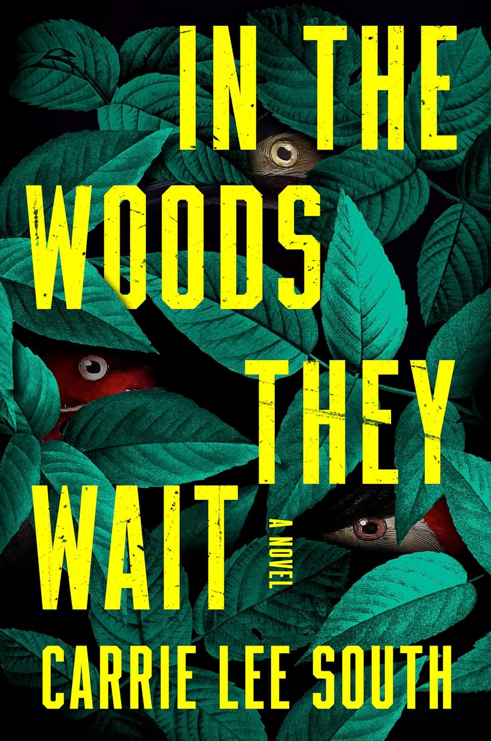In the Woods They Wait: A Novel by Carrie Lee South