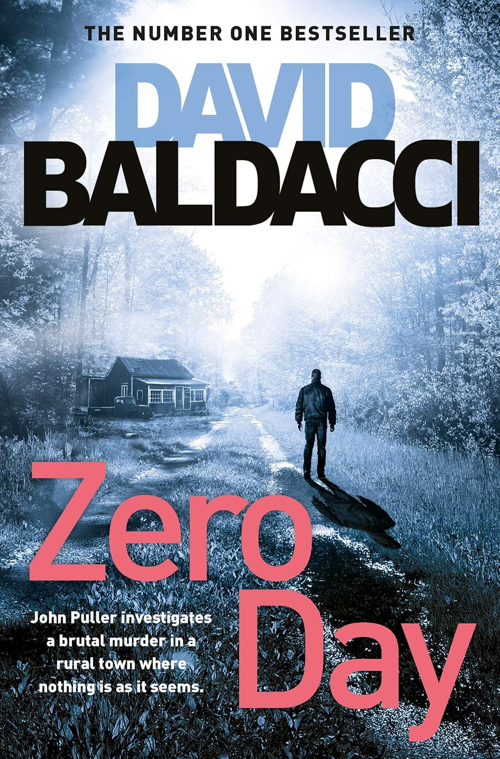Zero Day Novel by David Baldacci