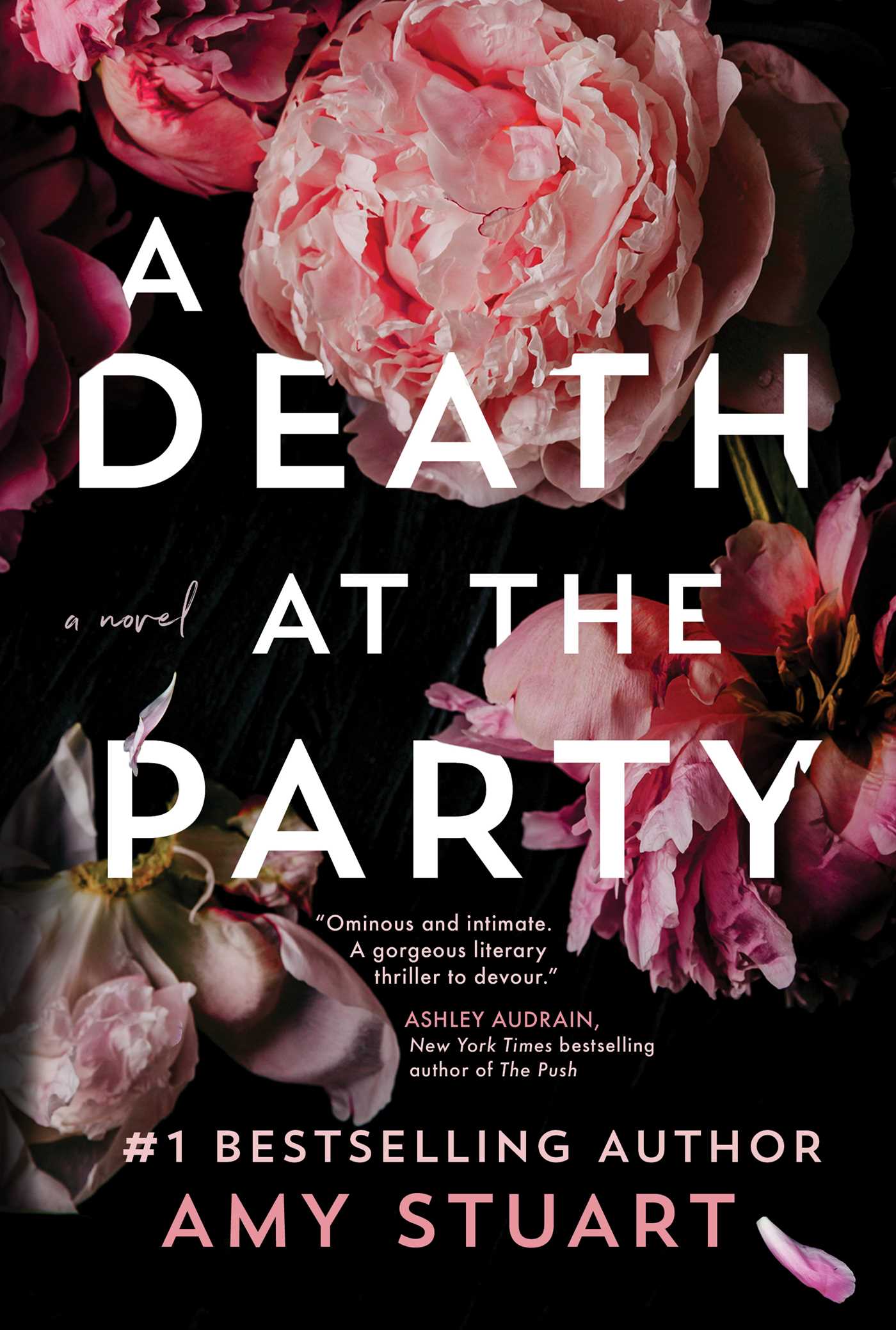 A Death at the Party: A Novel Book by Amy Stuart