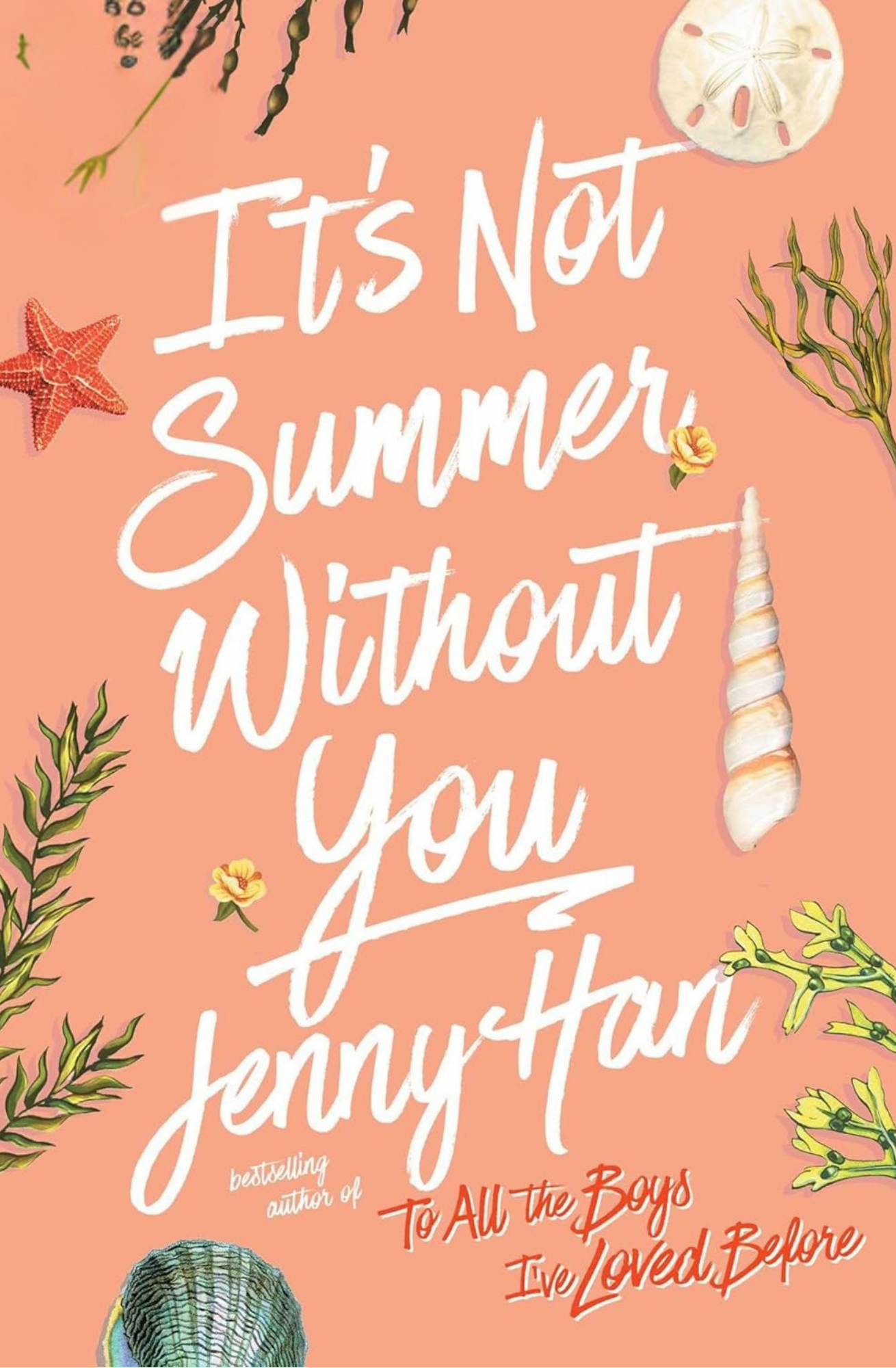 It's Not Summer Without You Book by Jenny Han
