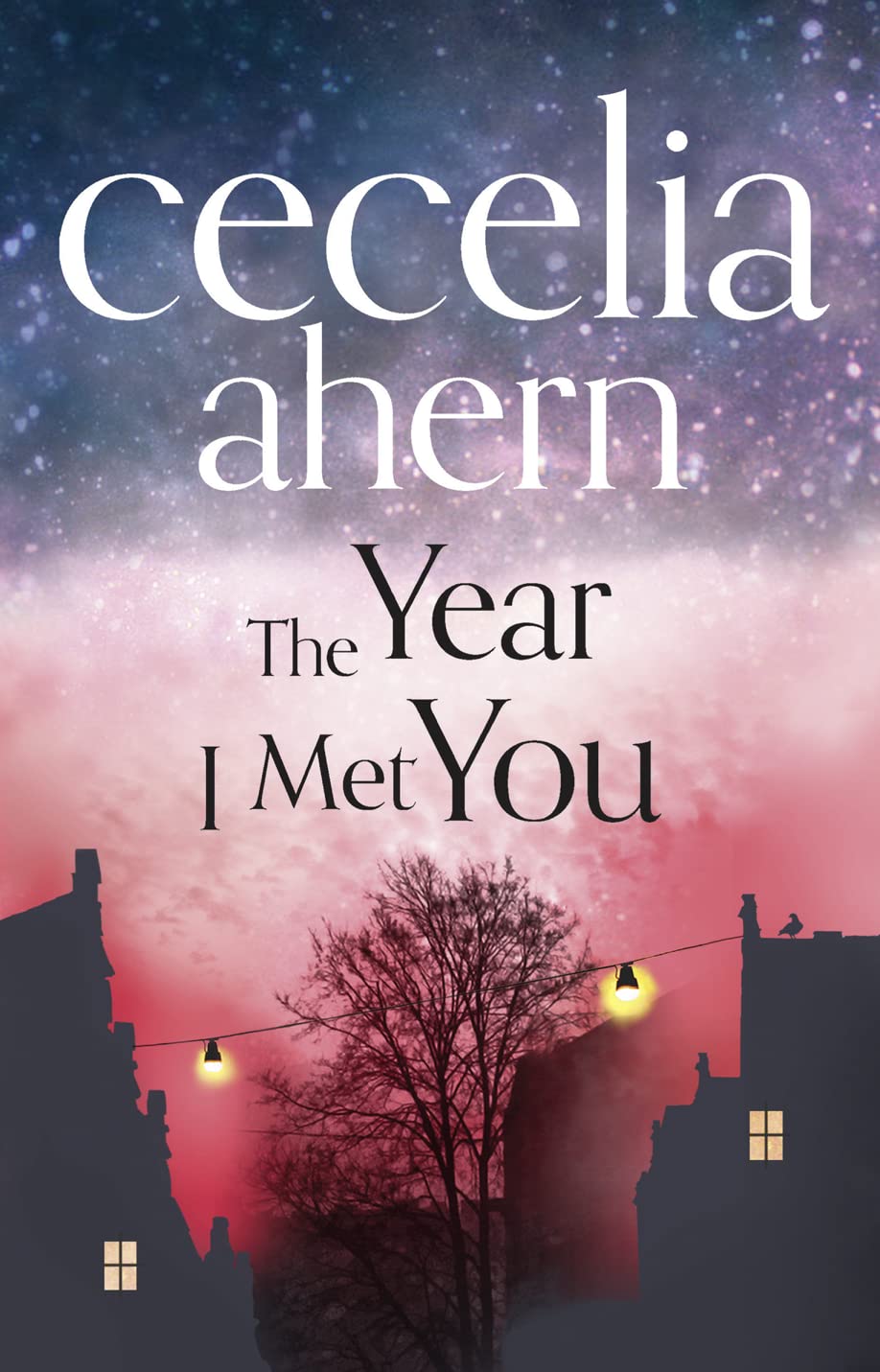 The Year I Met You Book by Cecelia Ahern