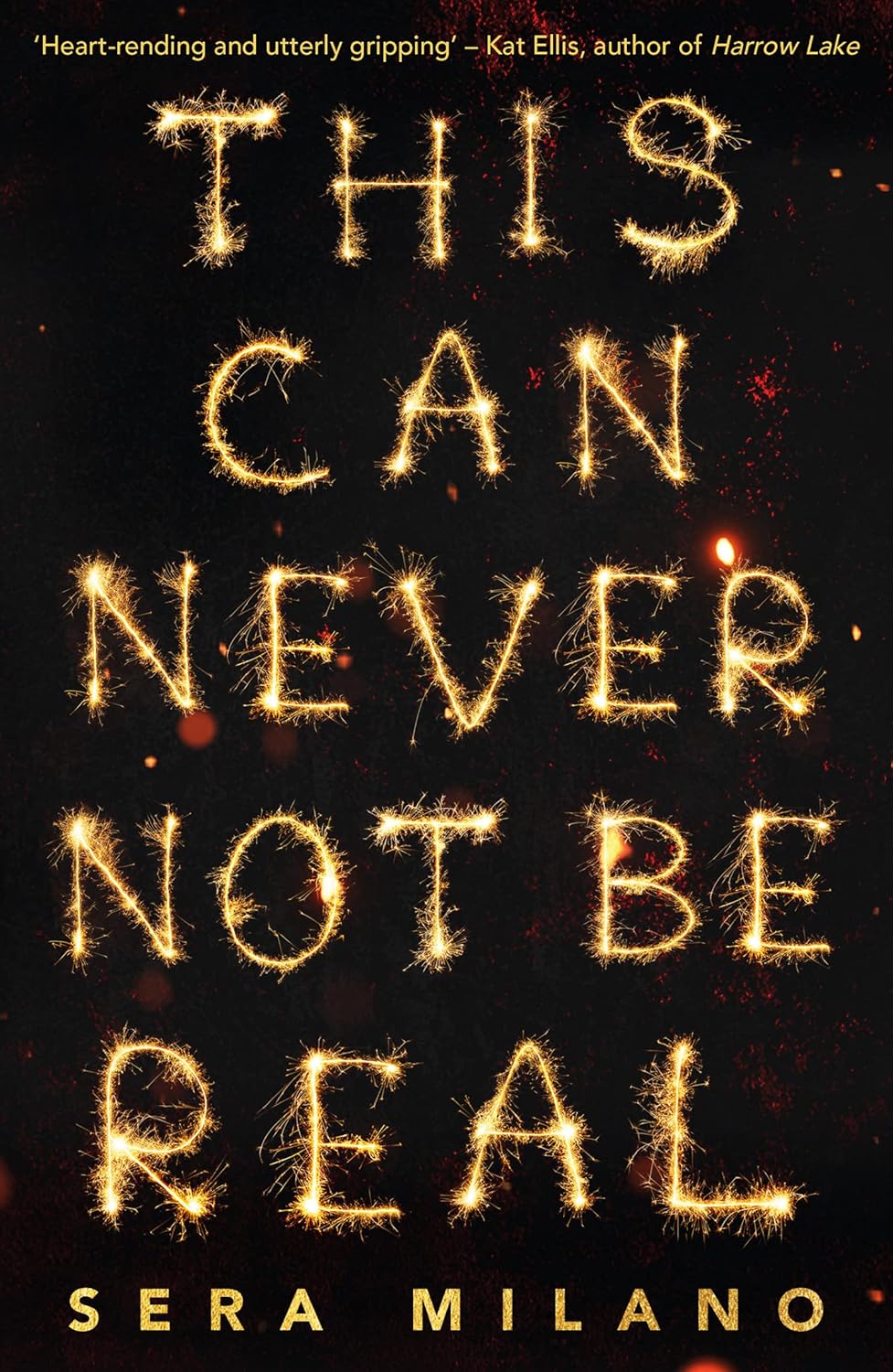 This Can Never Not Be Real Book by Sera Milano