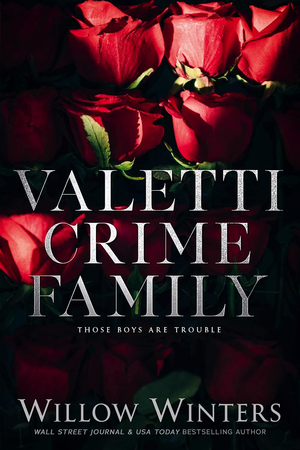 Valetti Crime Family: Those Boys Are Trouble Book by W Winters