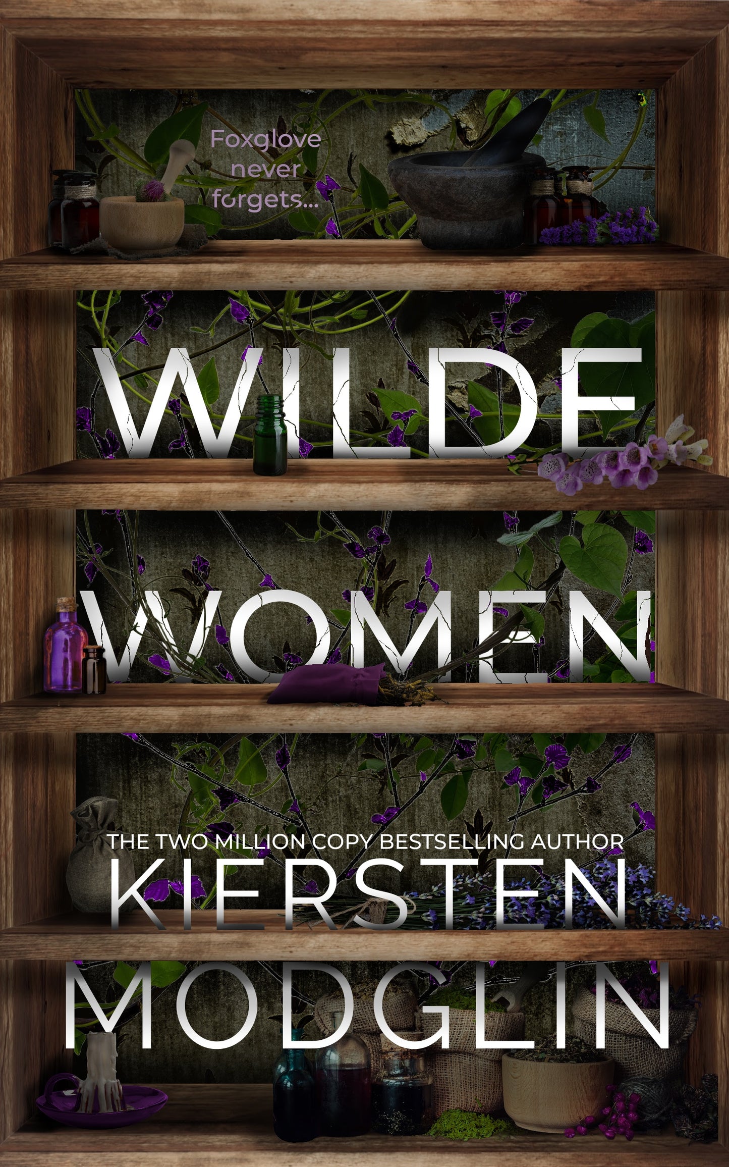 Wilde Women by Kiersten Modglin
