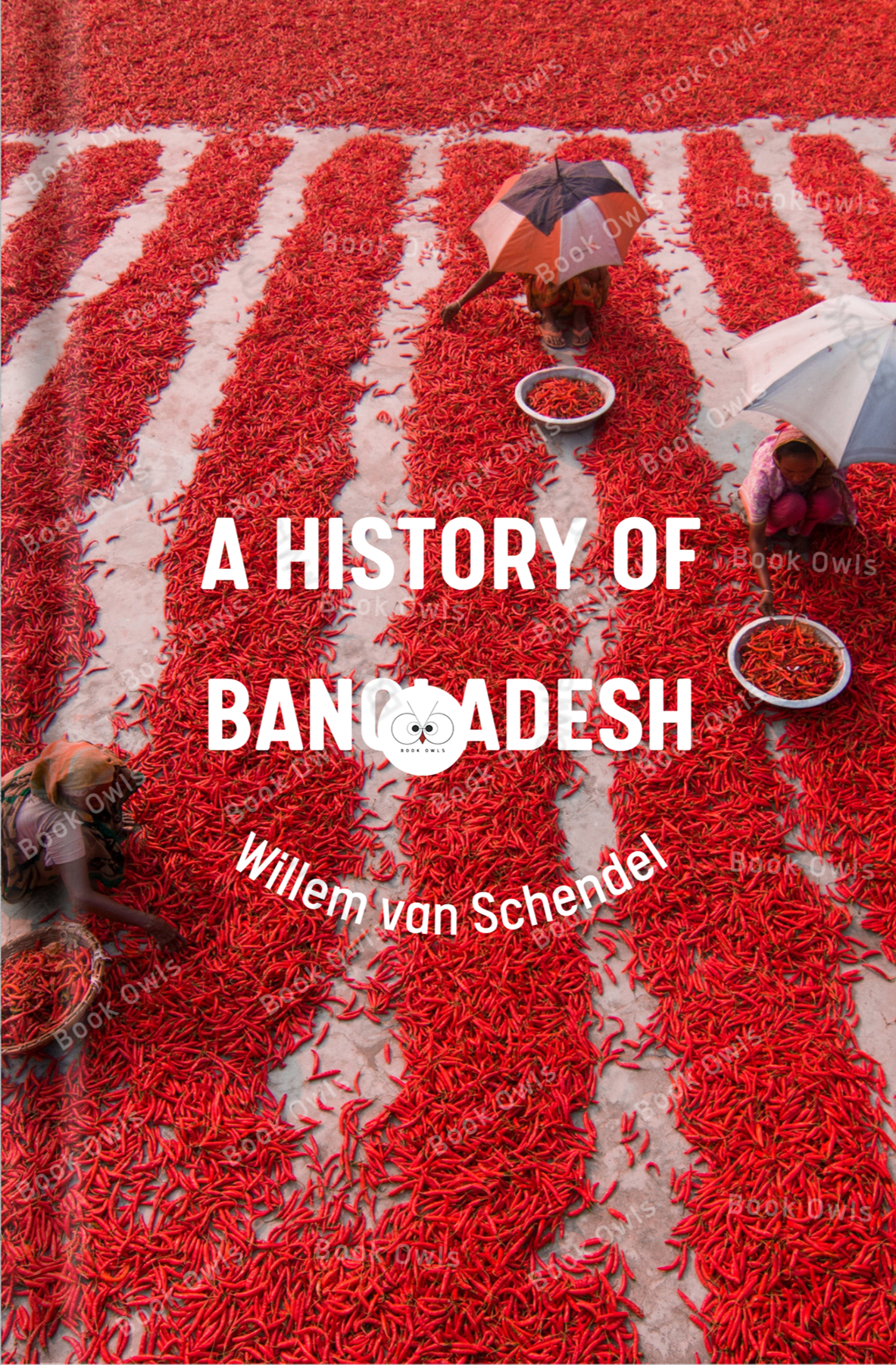 A History of Bangladesh Book by Willem van Schendel