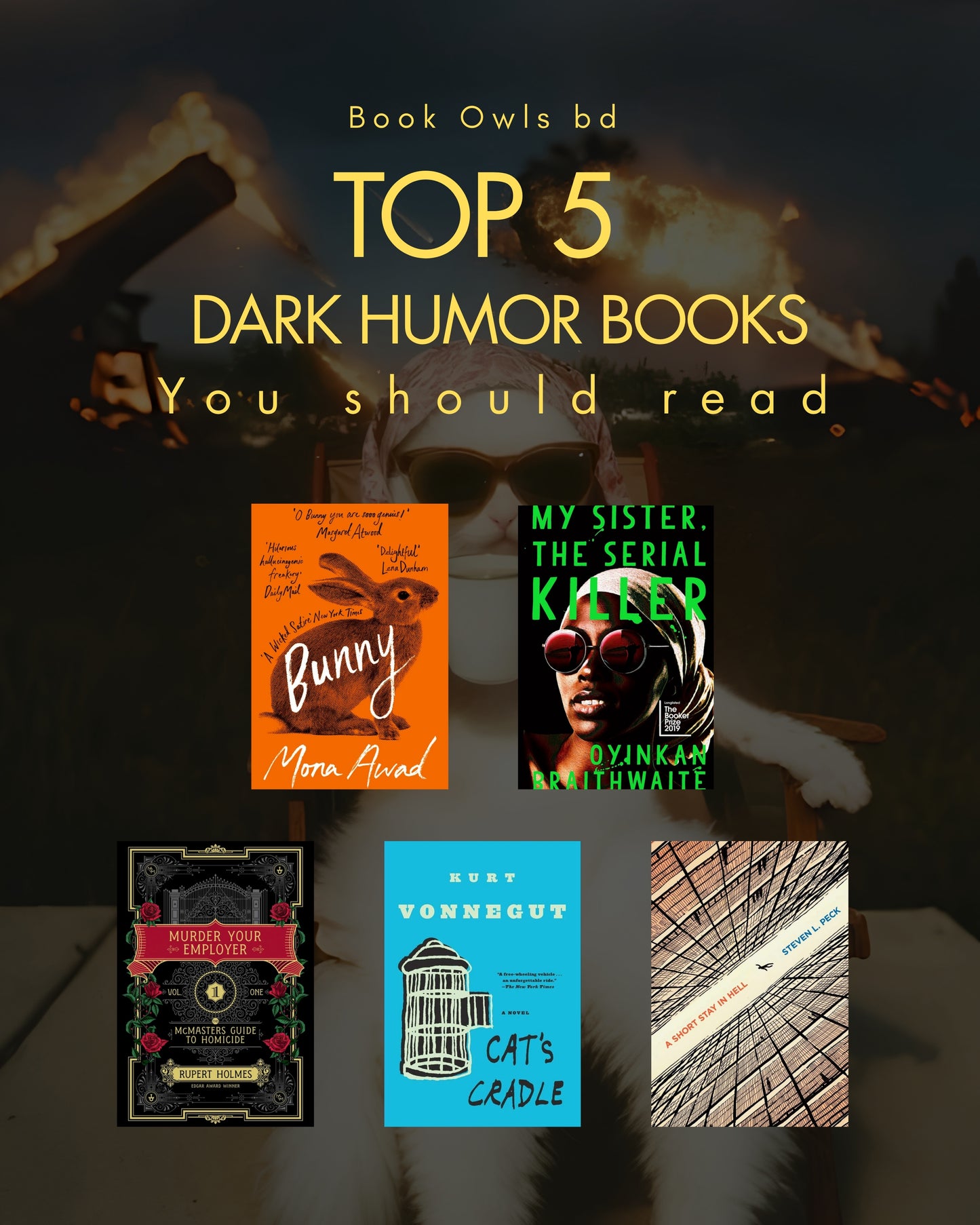 Top 5 Dark Humor Books