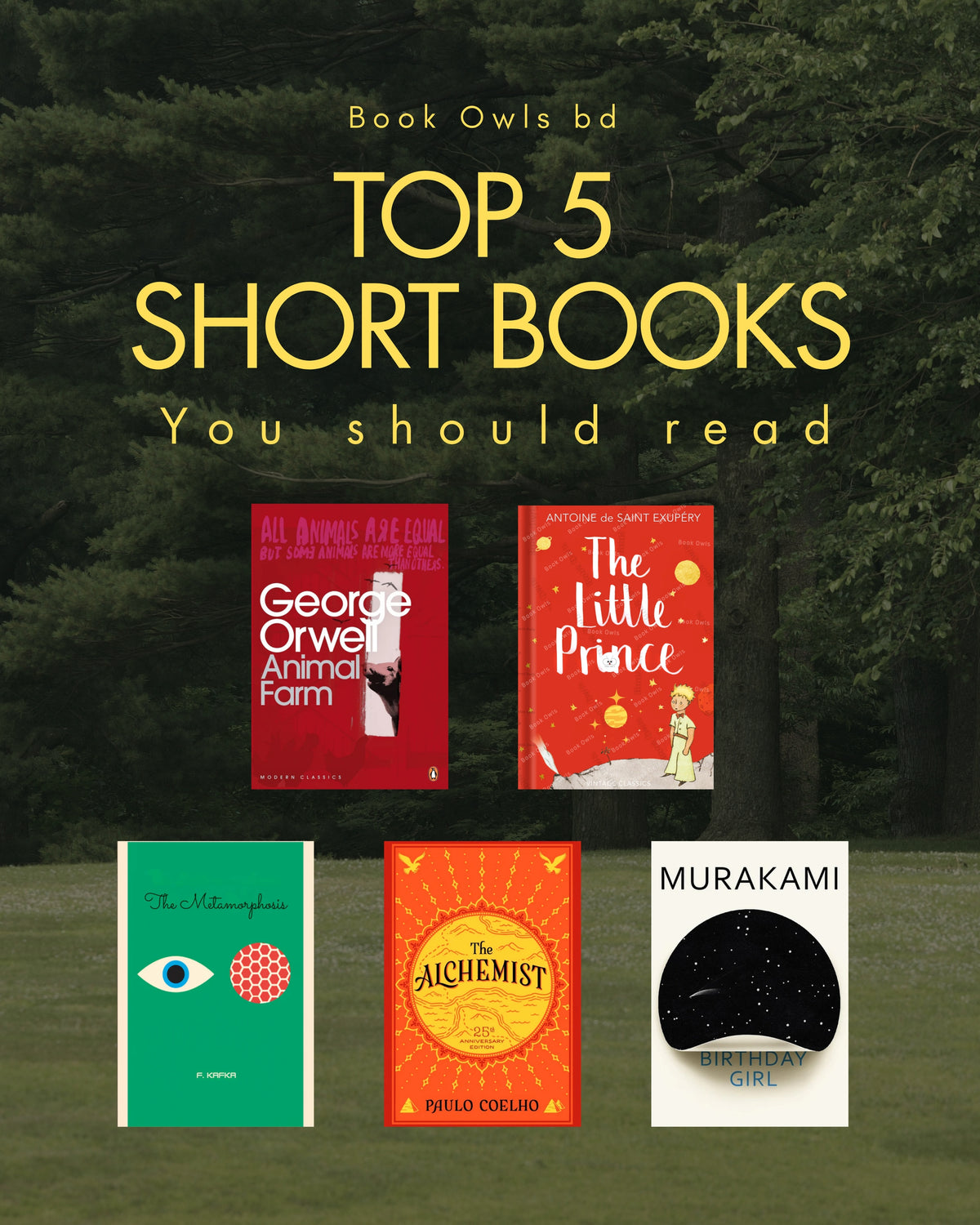 Top 5 Short Books Books