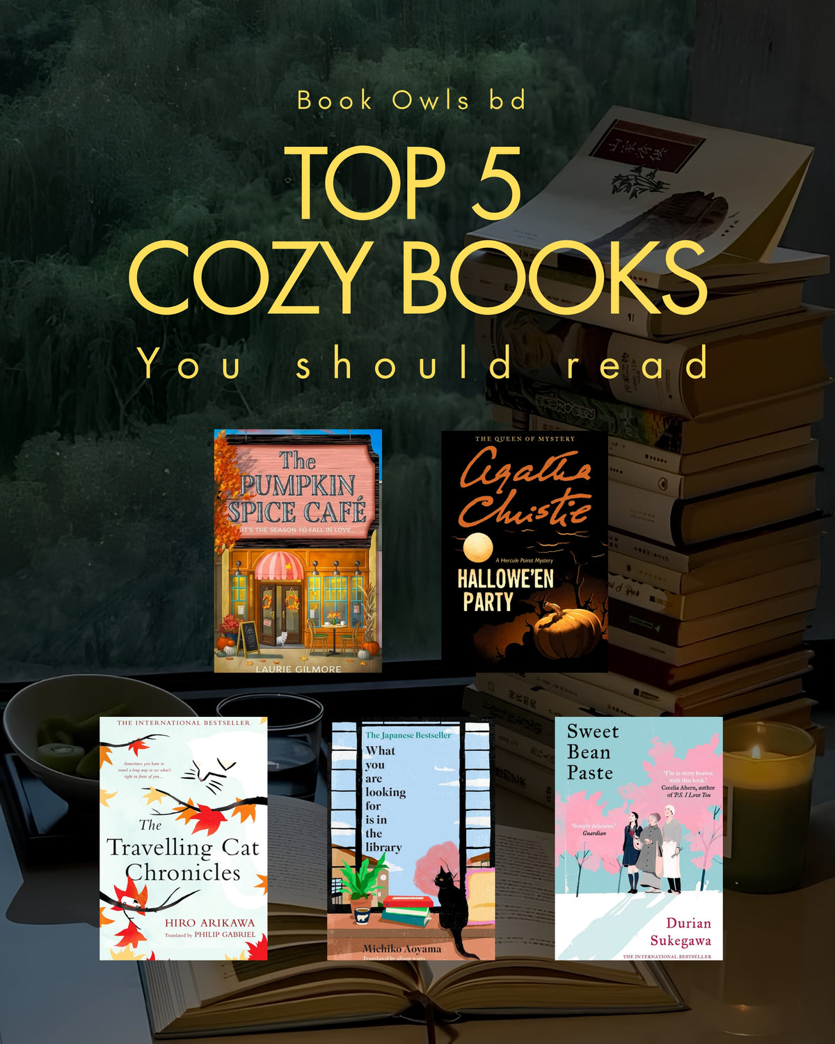 Top 5 Cozy Books