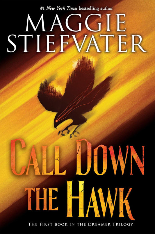 Call Down the Hawk Book by Maggie Stiefvater