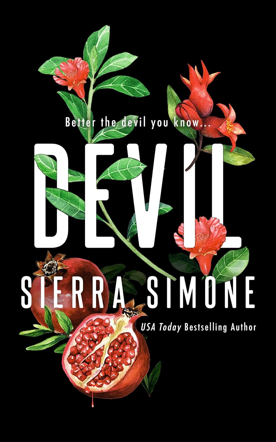 Devil Book by Sierra Simone
