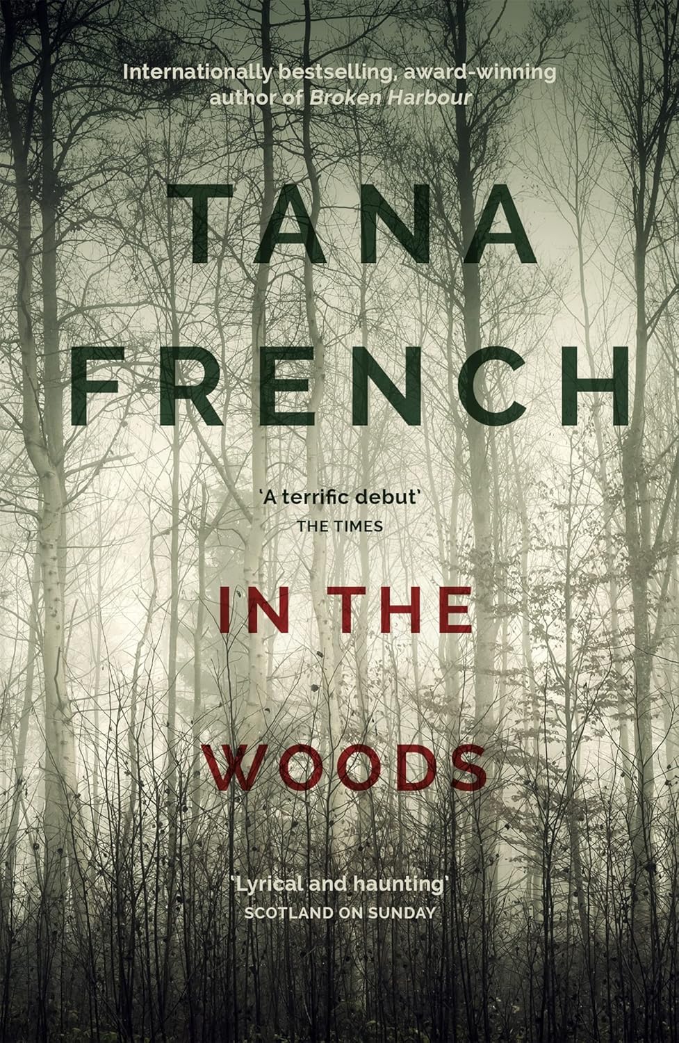 In the Woods Novel by Tana French