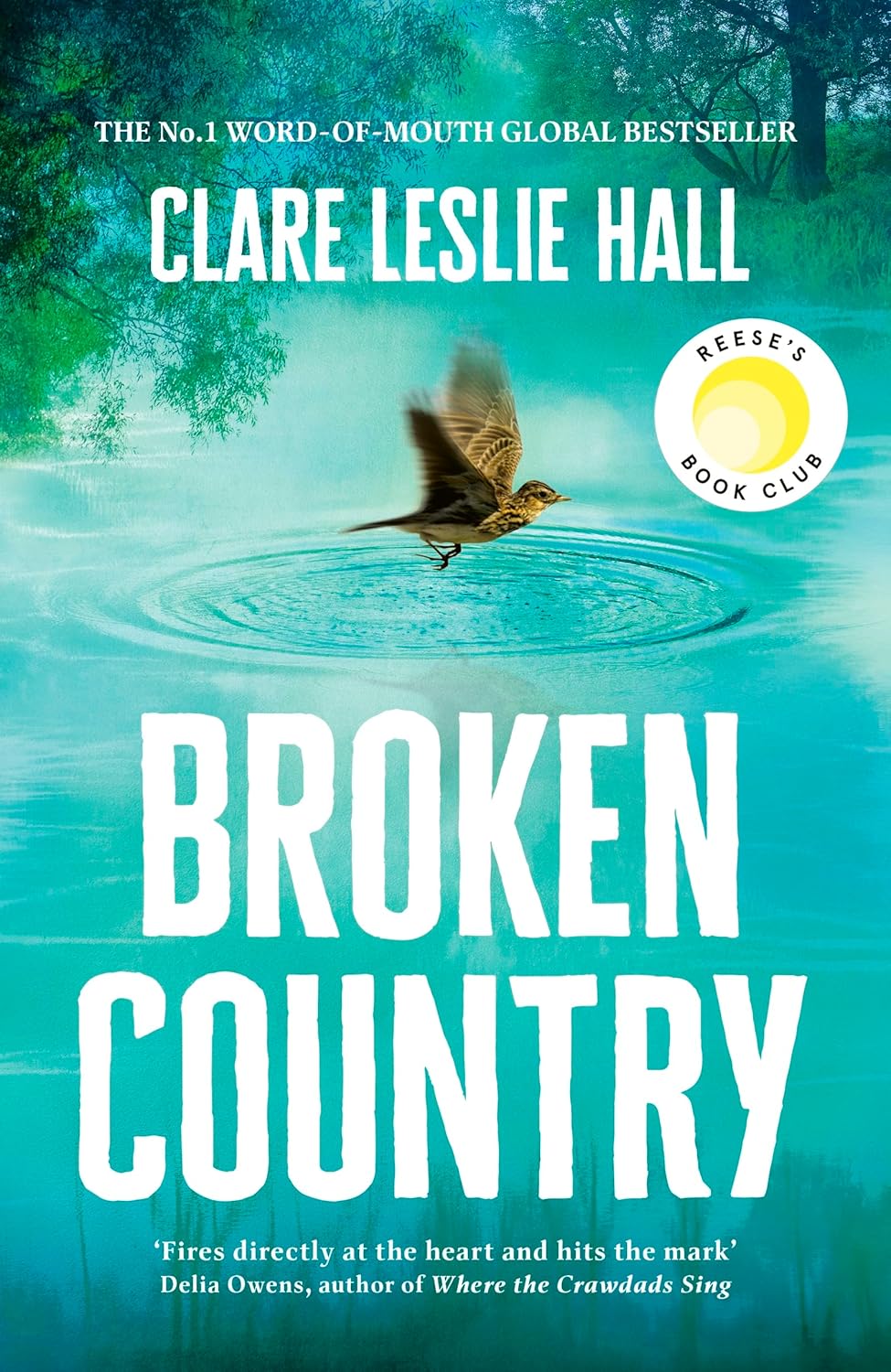 Broken Country Novel by Clare Leslie Hall
