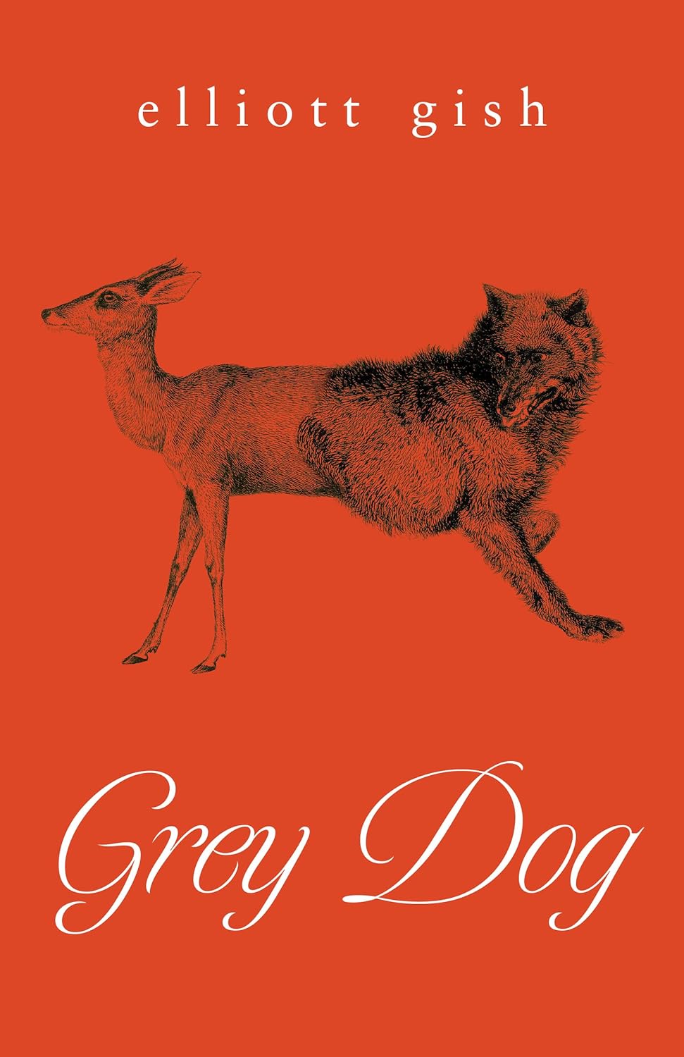 Grey Dog Novel by Elliott Gish