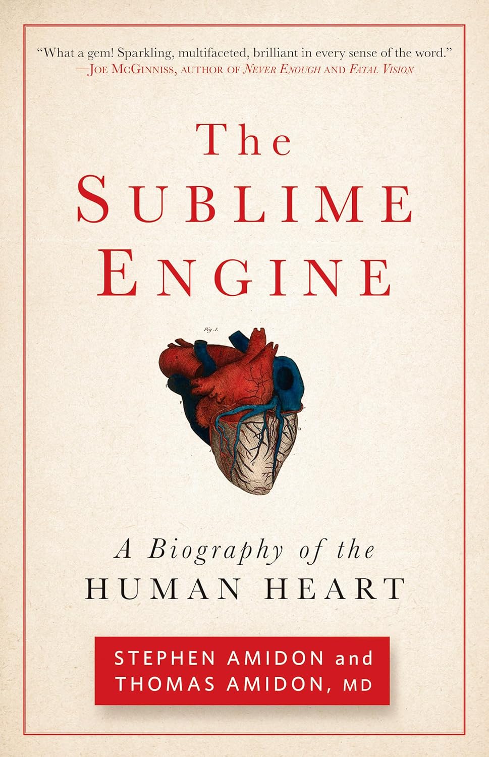 The Sublime Engine: A Biography of the Human Heart Book by Stephen Amidon, Thomas Amidon, MD, and Thomas W. Amidon