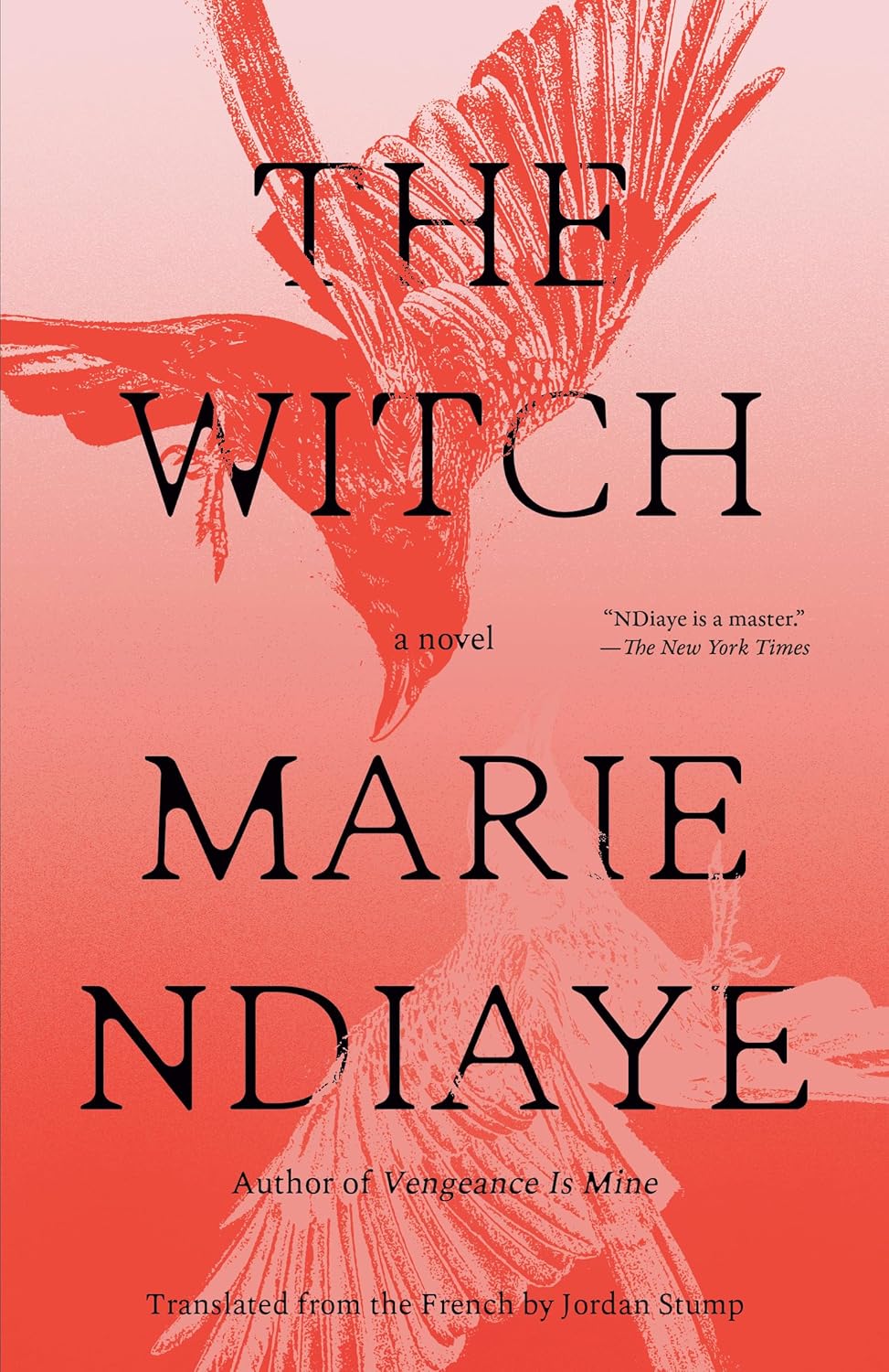 The Witch: A Novel by Marie NDiaye