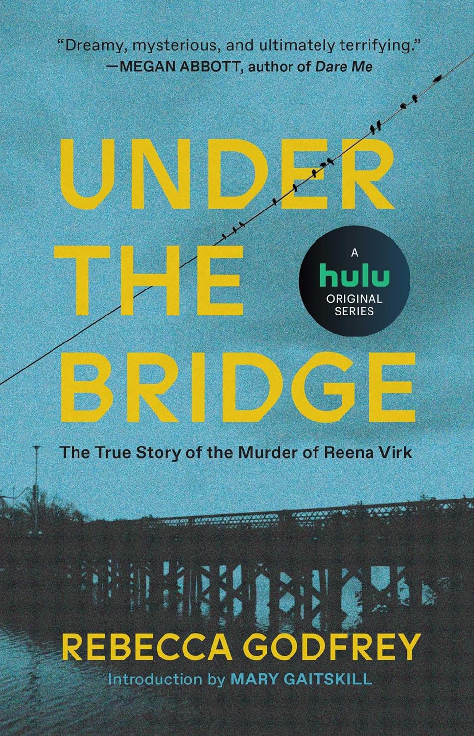 Under the Bridge Book by Rebecca Godfrey
