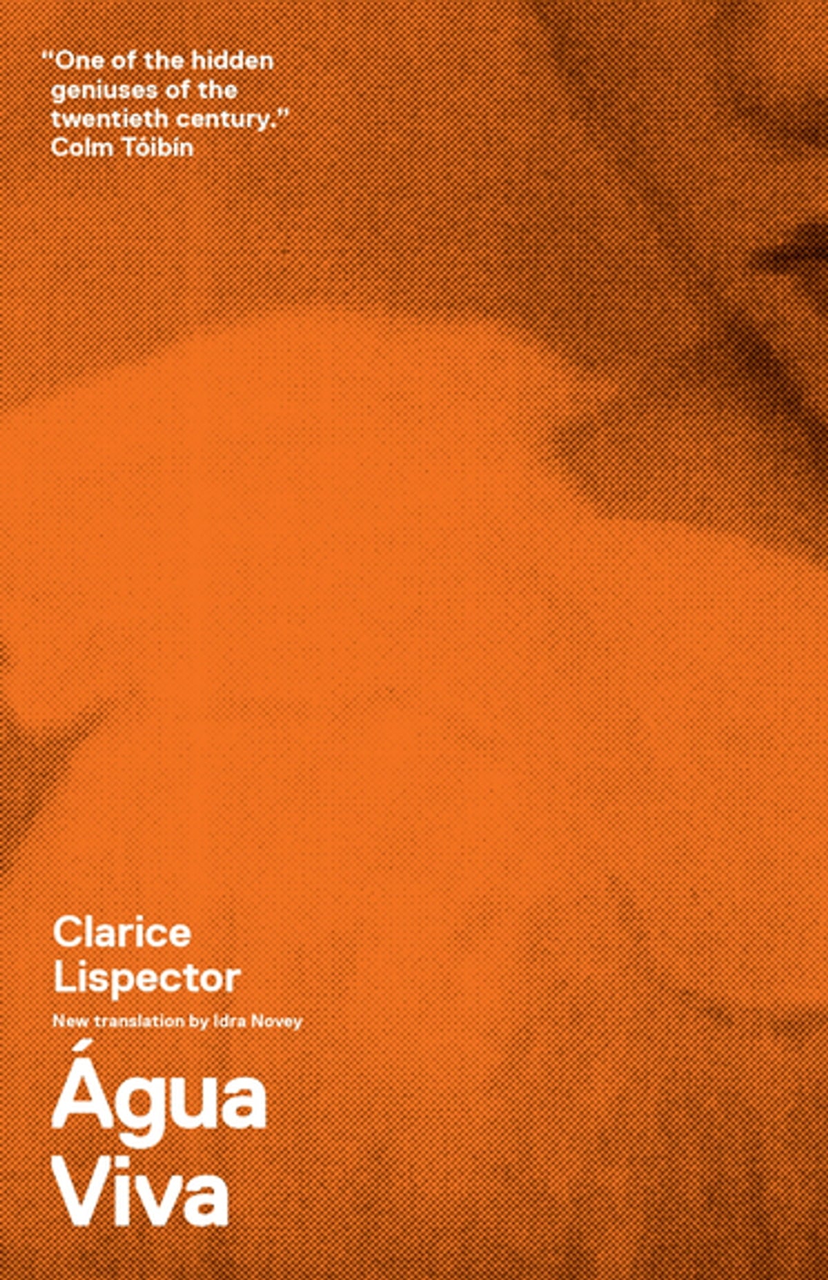 Agua Viva (The Stream of Life) Novel by Clarice Lispector