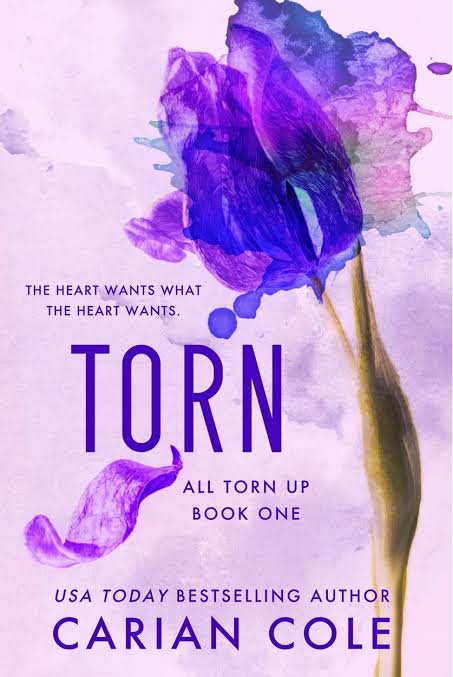 Torn Book by Carian Cole